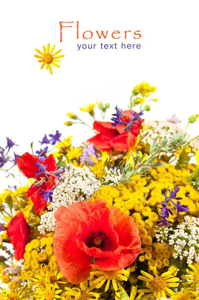 stock image Bouquet of wildflowers
