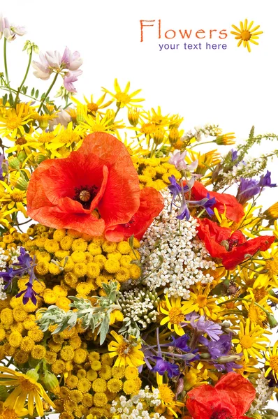 野の花の花束 — ストック写真