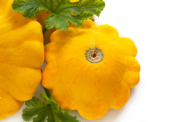 Pumpkin - Cucurbita pepo — Stock Photo, Image
