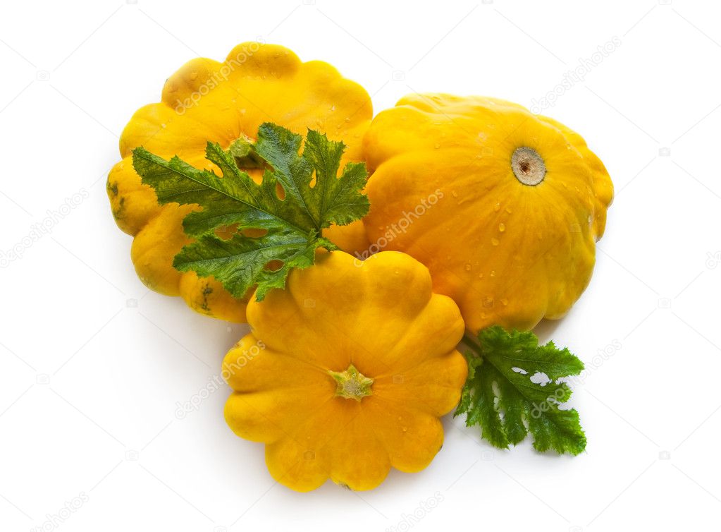 Pumpkin - Cucurbita pepo