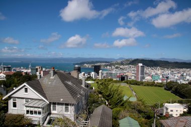 View over Wellington clipart