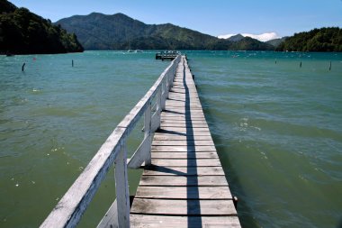 Landing stage in the Marlborough Sounds clipart