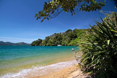 marlborough sesler Beach