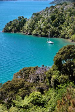 Sailboat in the Marlborough Sounds clipart