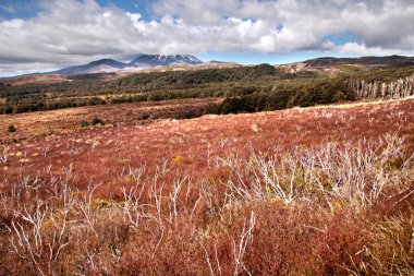 yetersiz manzara tongariro Ulusal Parkı içinde