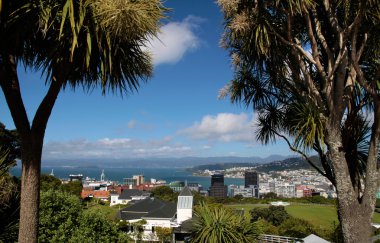 View over Wellington clipart