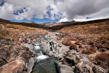 Creek in the Tongariro National Park clipart