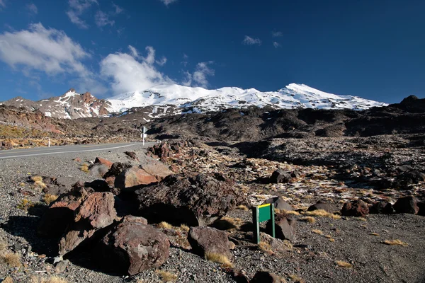 Paesaggio magro al Monte Ruapehu — Foto Stock