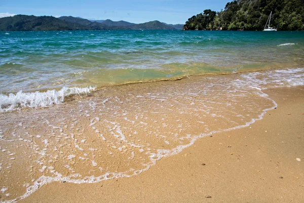 말보로 사운드의 해변 — 스톡 사진