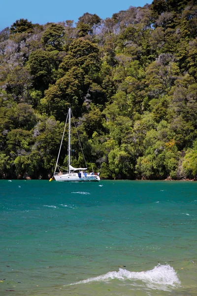 Sailboat and beach in the Marlborough Sounds — Stock Photo, Image