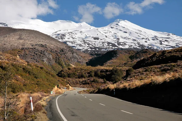 Strada per il Monte Ruapehu — Foto Stock