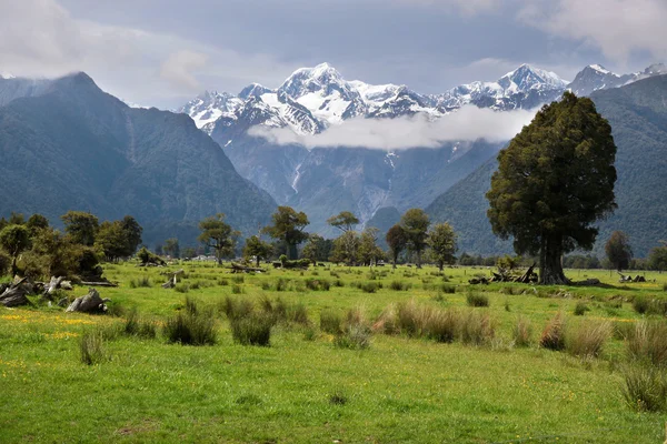 Looking to Mount Cook from Fox village — Stock Photo, Image