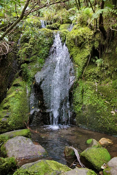 Водопад в национальном парке Абель-Тасмана — стоковое фото