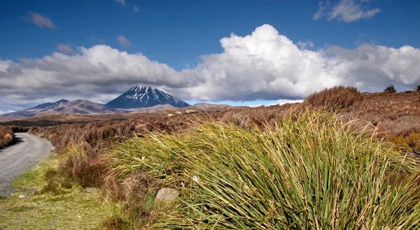Monte Ngauruhoe en el Parque Nacional Tongariro —  Fotos de Stock