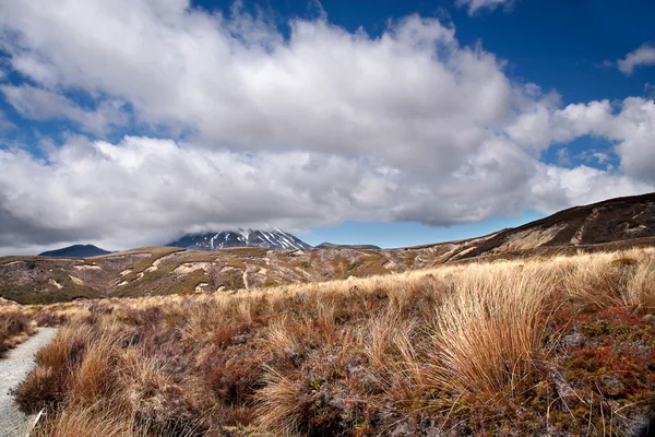 Meager landscape in the Tongariro National Park — Stock Photo, Image