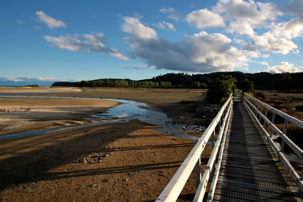 Trilha de caminhada no Parque Nacional Abel Tasman — Fotografia de Stock