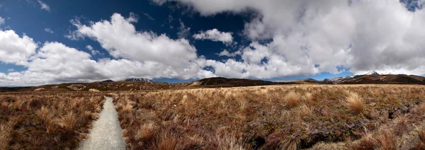 Meager landscape in the Tongariro National Park — Stock Photo, Image