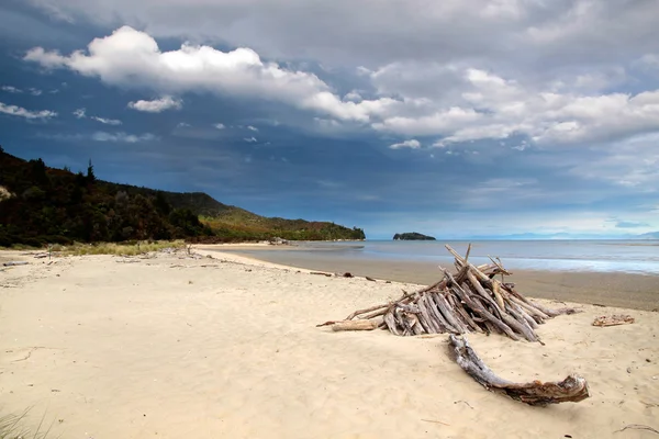 Playa en el Parque Nacional Abel Tasman — Foto de Stock