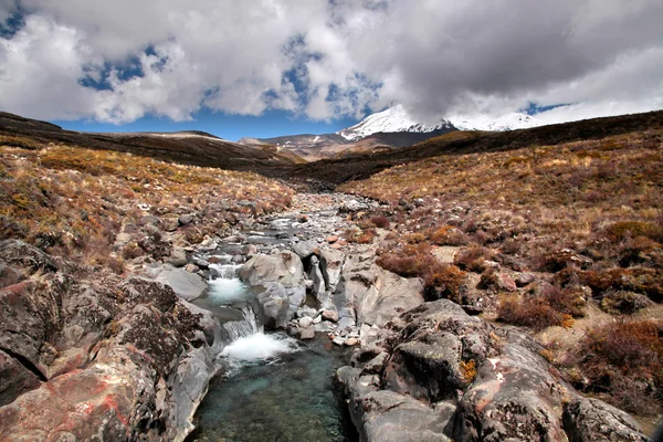 Creek w Parku Narodowego tongariro — Zdjęcie stockowe