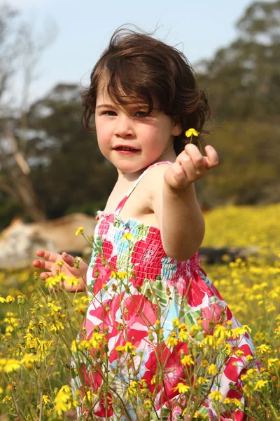 Chica sosteniendo una flor — Foto de Stock