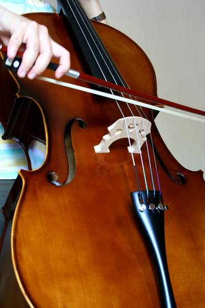Hraje na violoncello — Stock fotografie