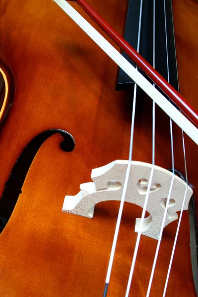 Cello itu — Stok Foto