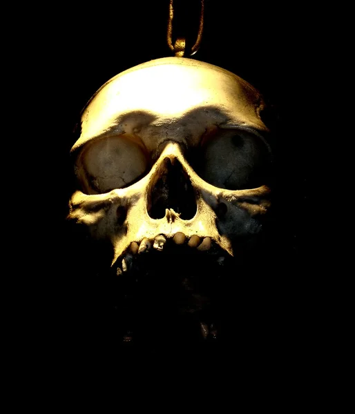 stock image Scary scull with black background