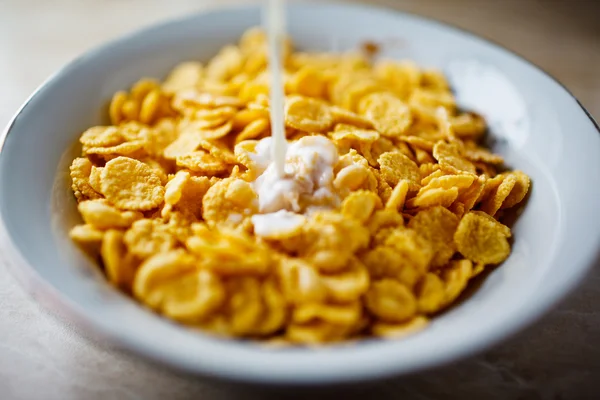 Cereals in plate — Stock Photo, Image