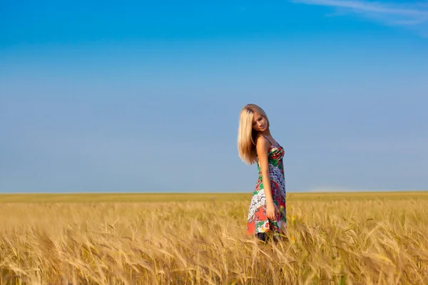 Buğday alan üzerinde yürüyen kadın — Stok fotoğraf