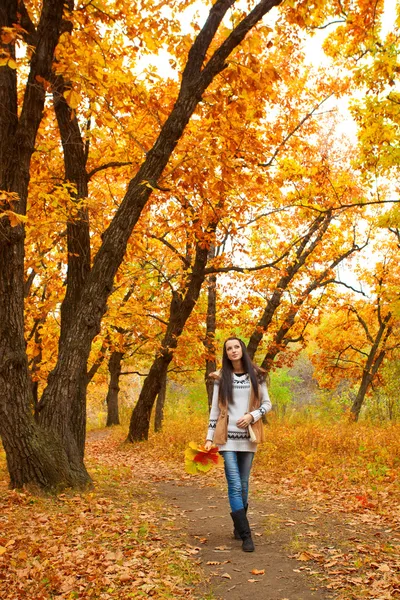 秋の公園を歩く婦人 — ストック写真