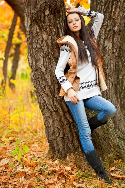 Fashion model near tree in autmn park — Stock Photo, Image