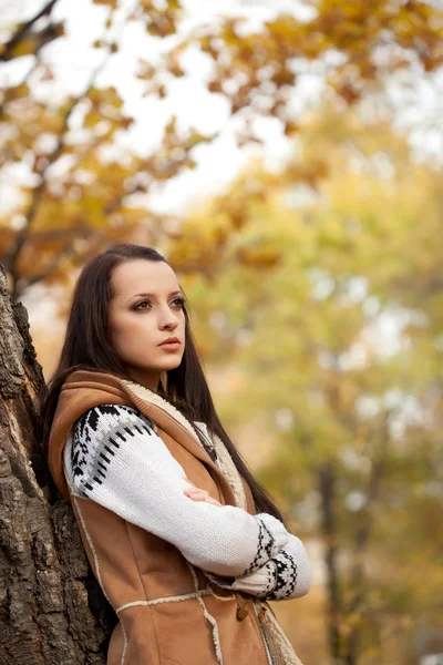 秋の公園の木の近くポーズ ブルネットの女性 — ストック写真