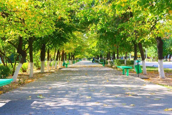 stock image Autumn avenue