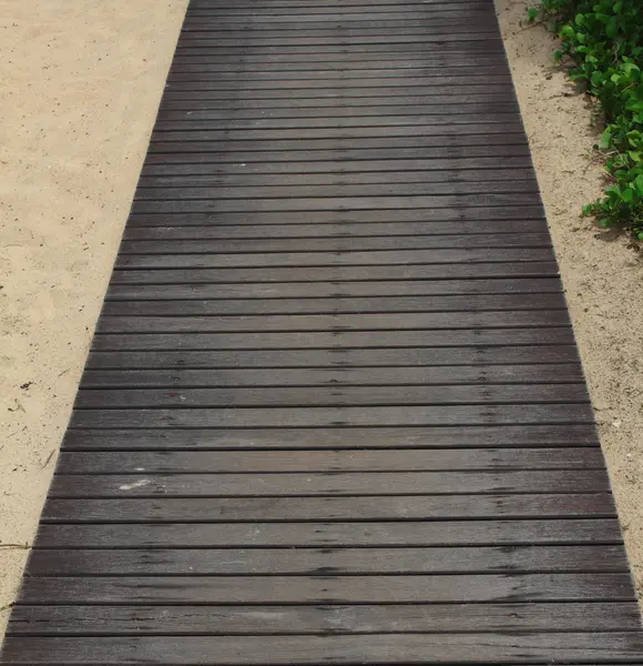 Лесная дорожка на пляже — стоковое фото