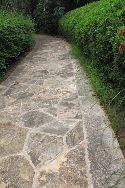 Garden brick path — Stock Photo, Image