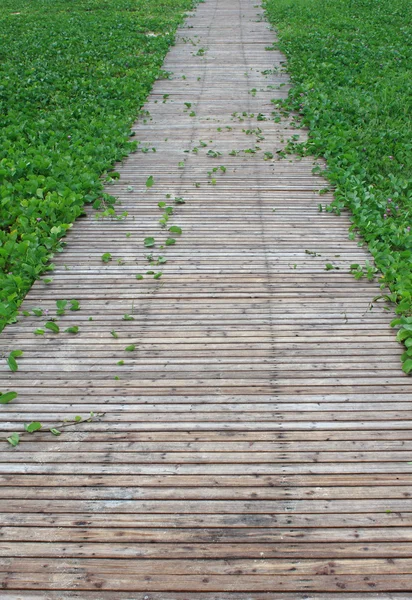 Wood path in beach — Stock Photo, Image