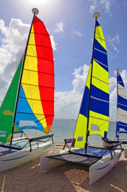 Small SailingCatamarans clipart