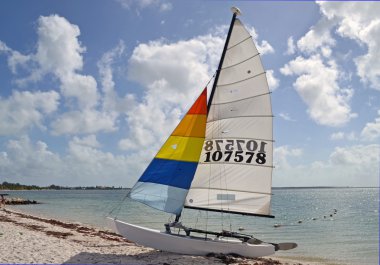 Small SailingCatamaran clipart