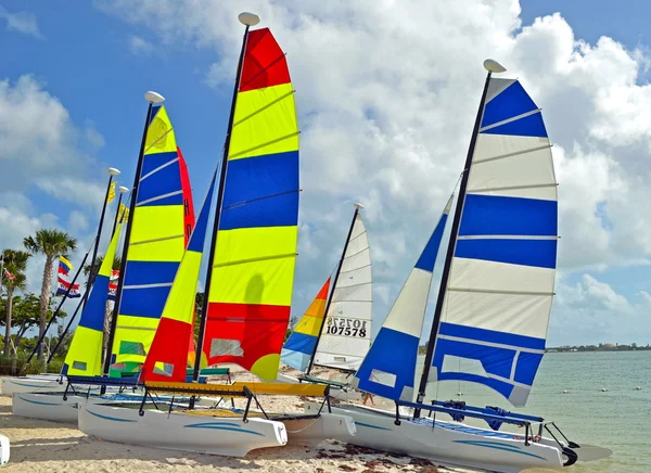 Catamaranes en una playa de Key Biscayne — Foto de Stock