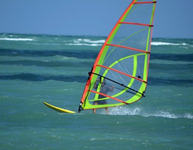 Sailboarder