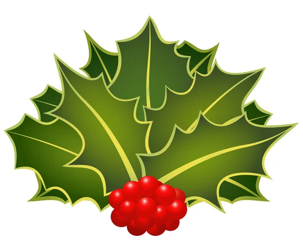 Holly de Noël — Image vectorielle