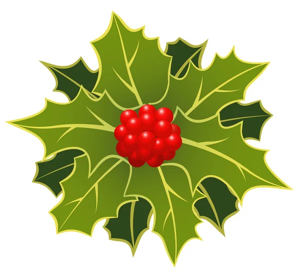 Christmas holly with berry — Stock Vector