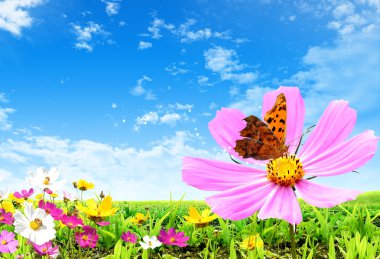 Flower and butterfly clipart