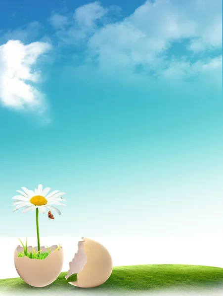 Blume im Ei — Stockfoto