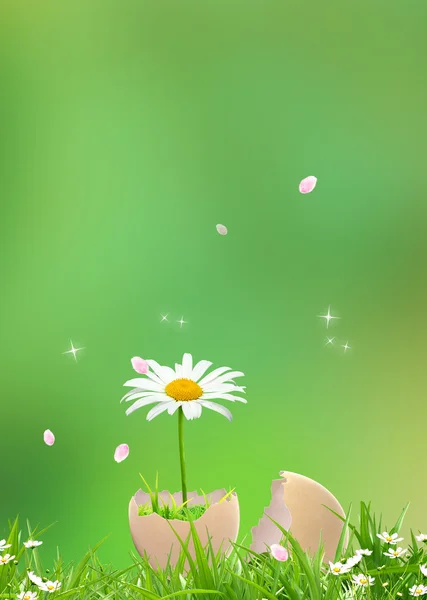 Blomma i ägg — Stockfoto
