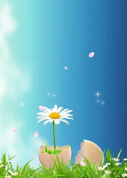 Flower in egg — Stock Photo, Image