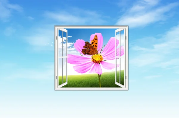 Flor e borboleta — Fotografia de Stock