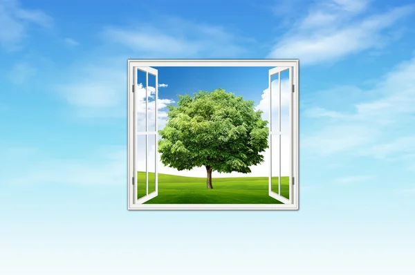 Okna a strom — Stock fotografie
