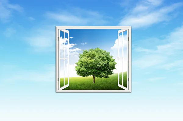 Windows i drzewo — Zdjęcie stockowe