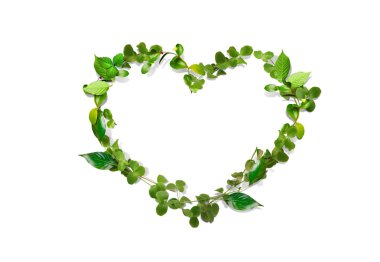 Green heart clipart